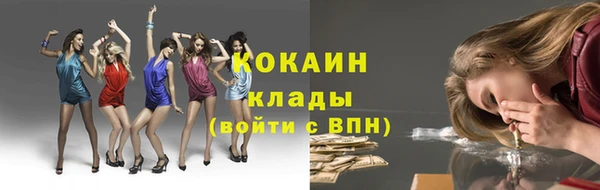 стафф Алексин