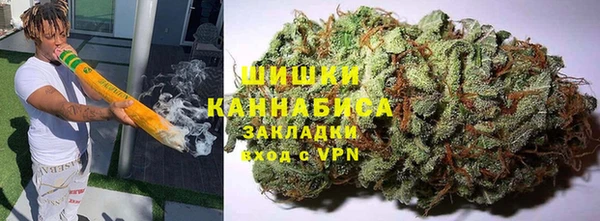 ПСИЛОЦИБИНОВЫЕ ГРИБЫ Алексеевка